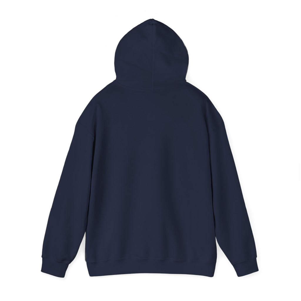 Project PZDN Plain Hoodie