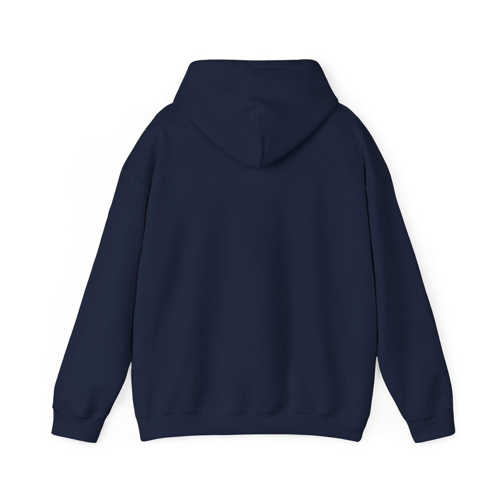 Project PZDN Plain Hoodie