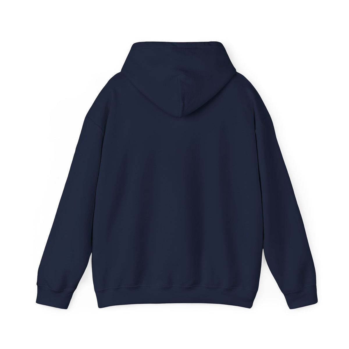 Project PZDN Plain Hoodie