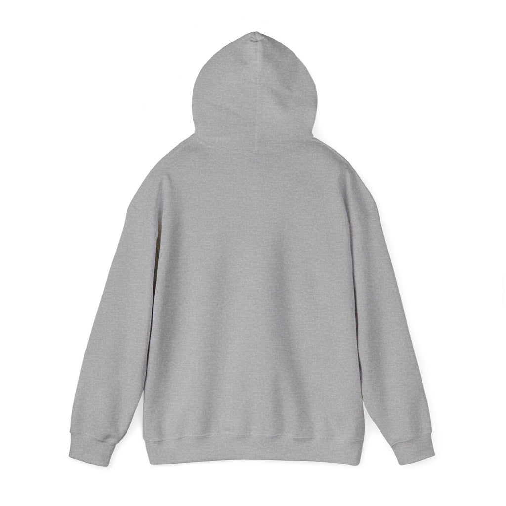 Project PZDN Plain Hoodie