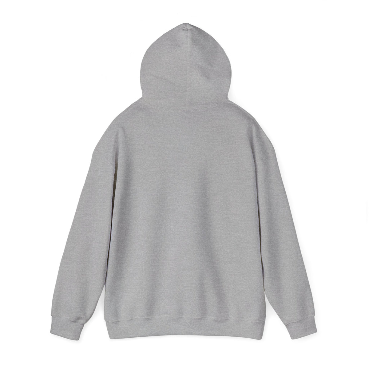 Project PZDN Plain Hoodie
