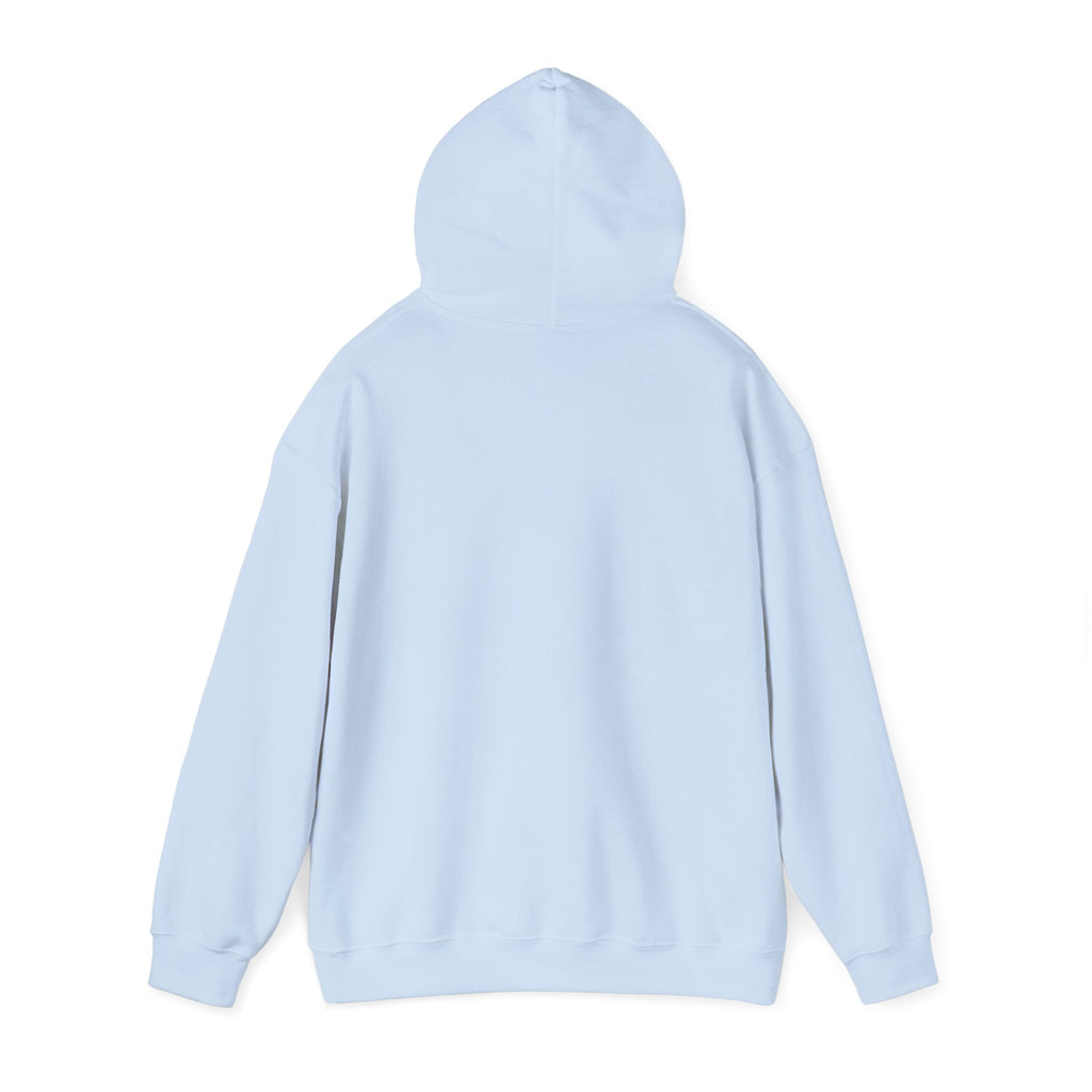 Project PZDN Plain Hoodie