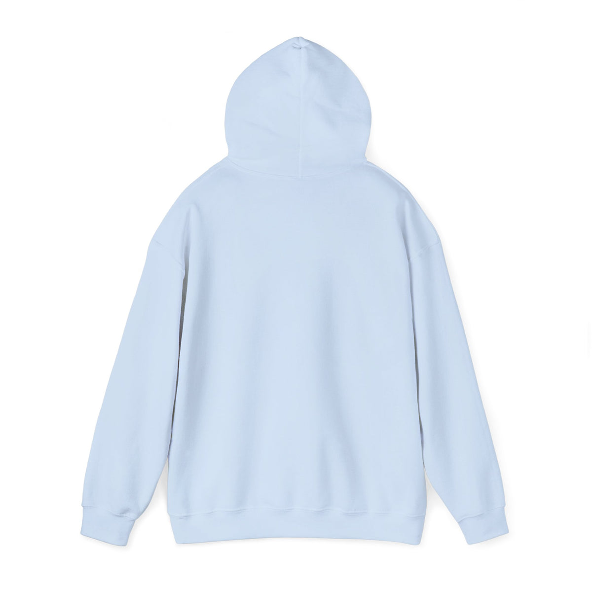 Project PZDN Plain Hoodie