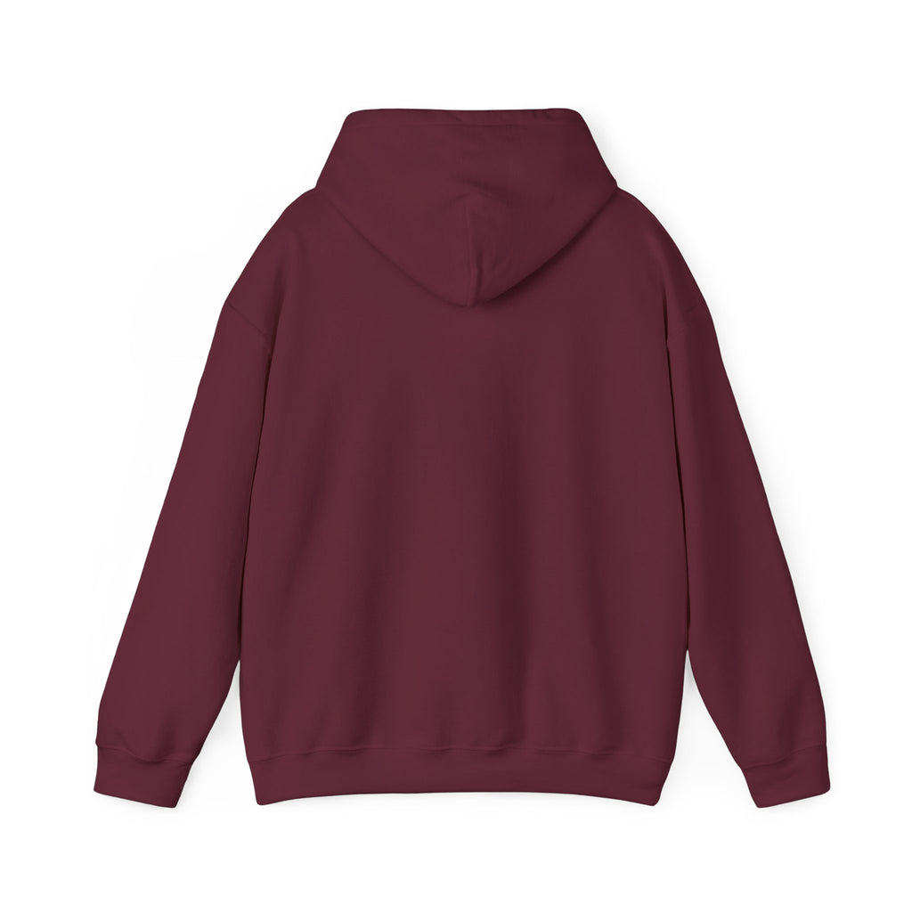 Project PZDN Plain Hoodie
