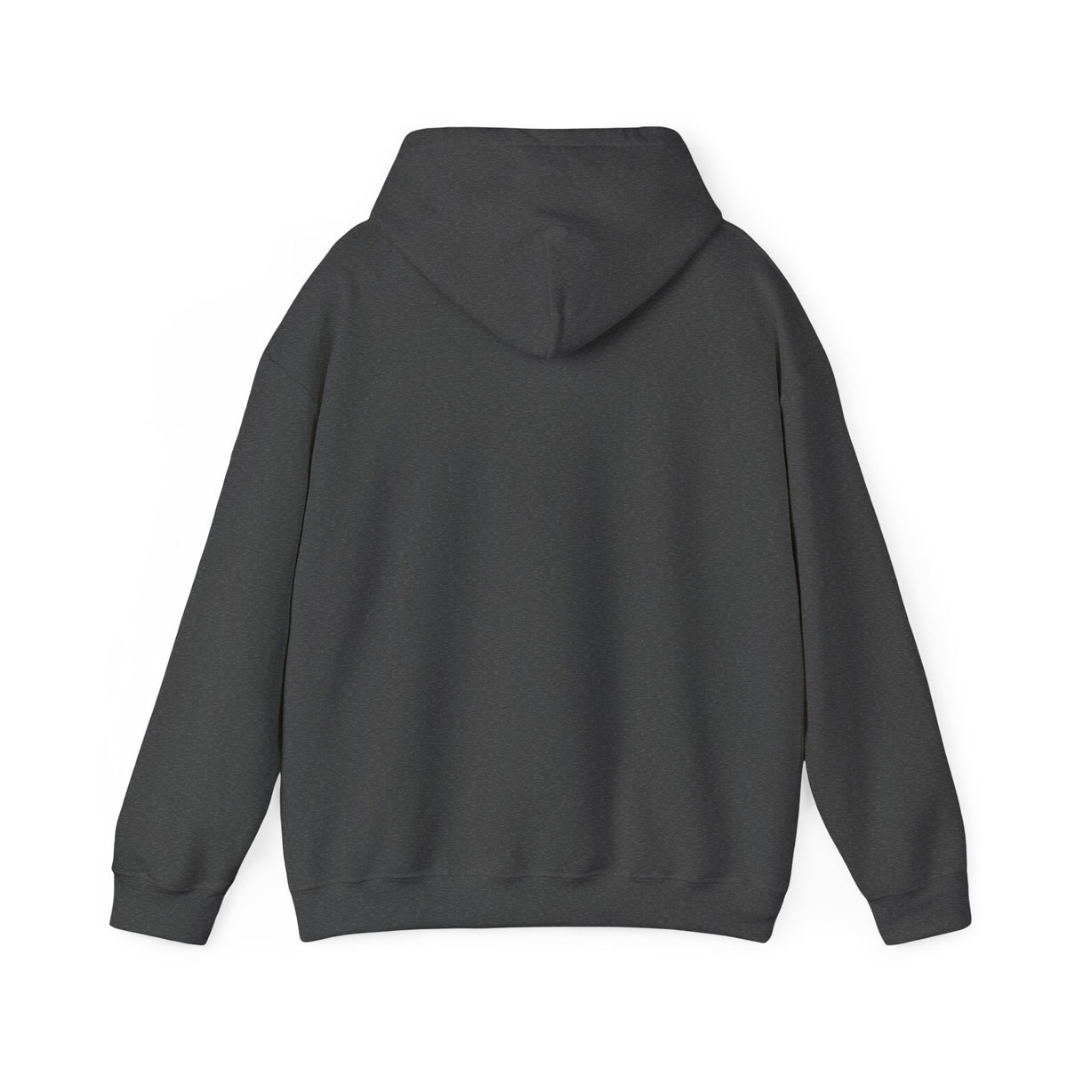 Project PZDN Plain Hoodie
