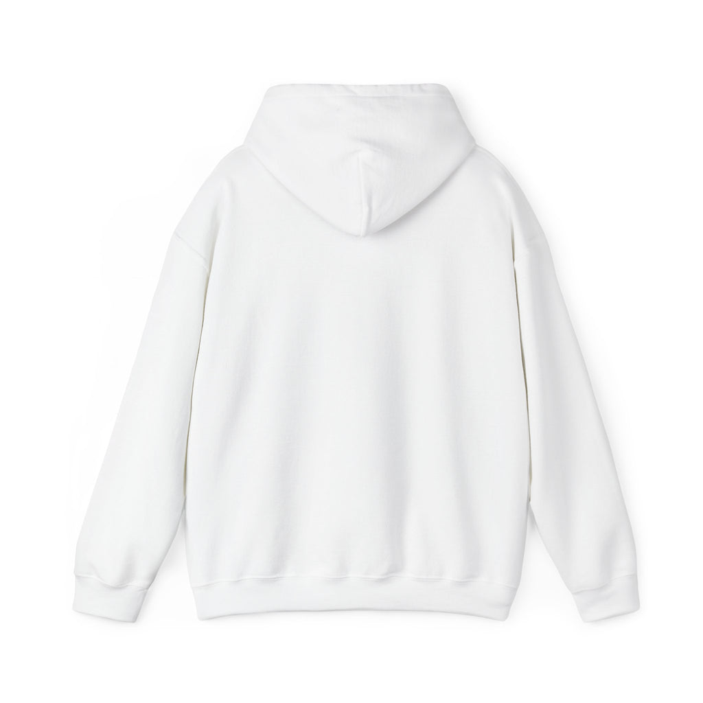 Project PZDN Plain Hoodie