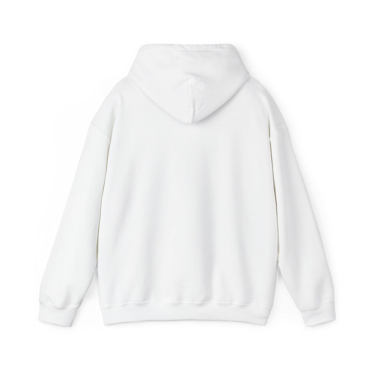 Project PZDN Plain Hoodie