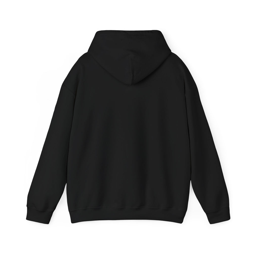 Project PZDN Plain Hoodie