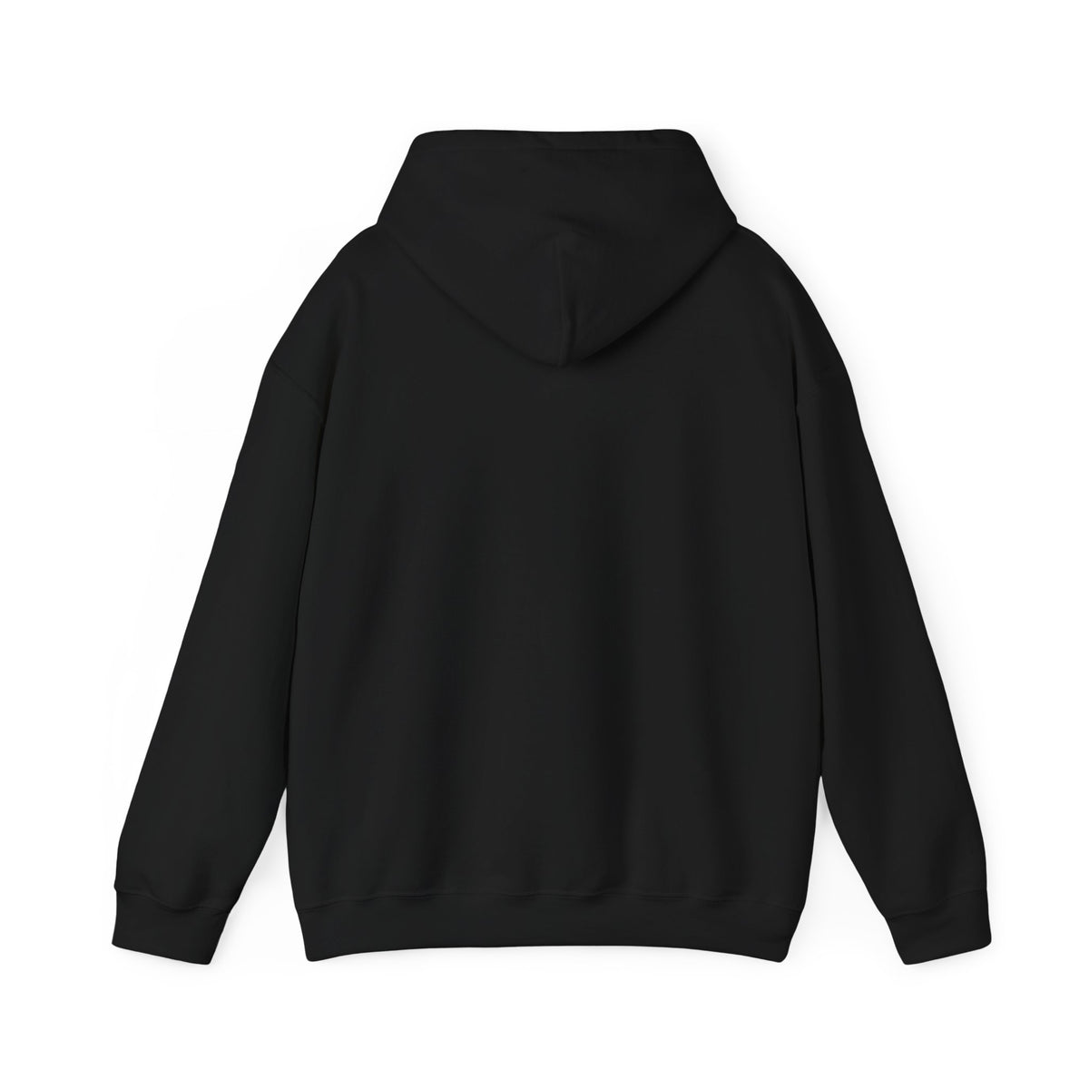 Project PZDN Plain Hoodie