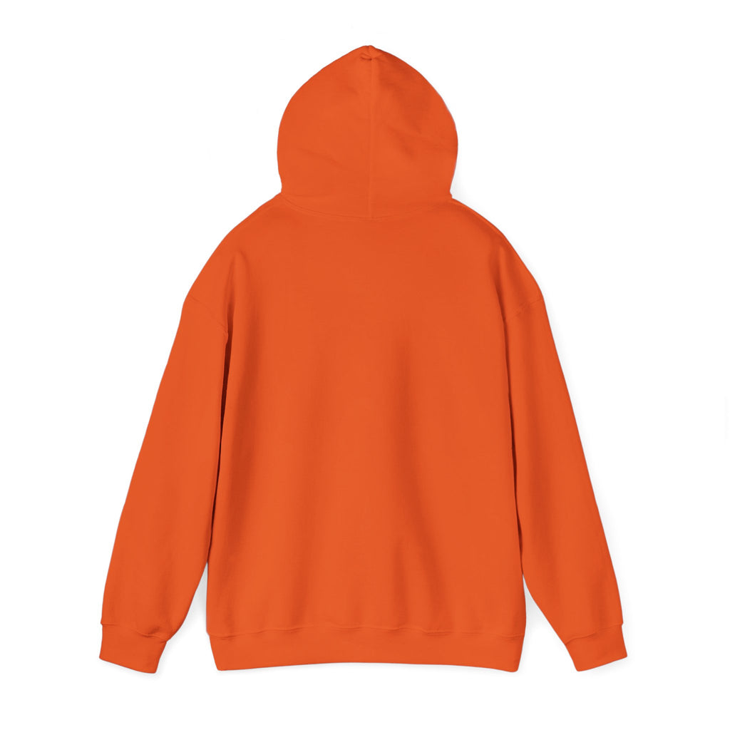 Project PZDN Plain Hoodie