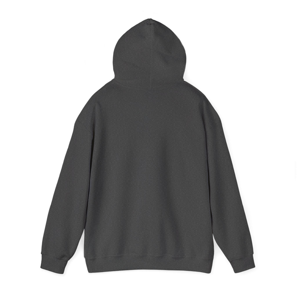 Project PZDN Plain Hoodie