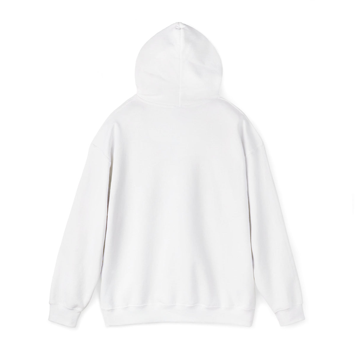 Project PZDN Plain Hoodie