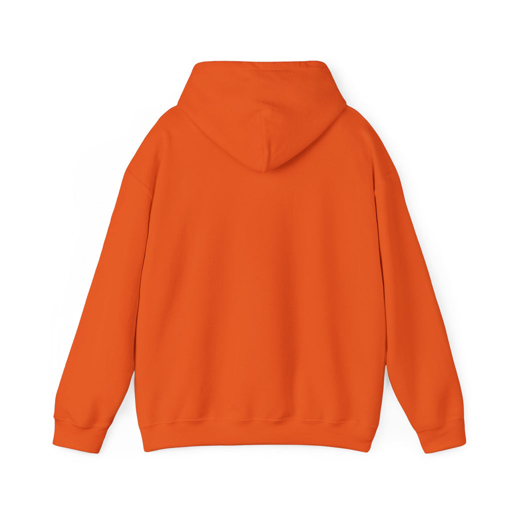 Project PZDN Plain Hoodie