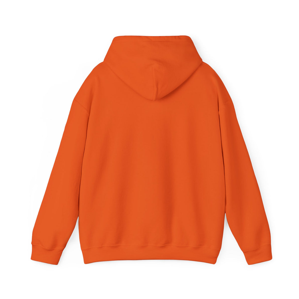 Project PZDN Plain Hoodie