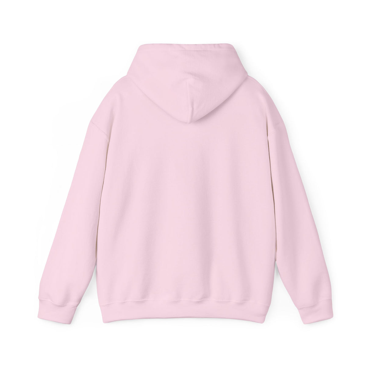 Project PZDN Plain Hoodie