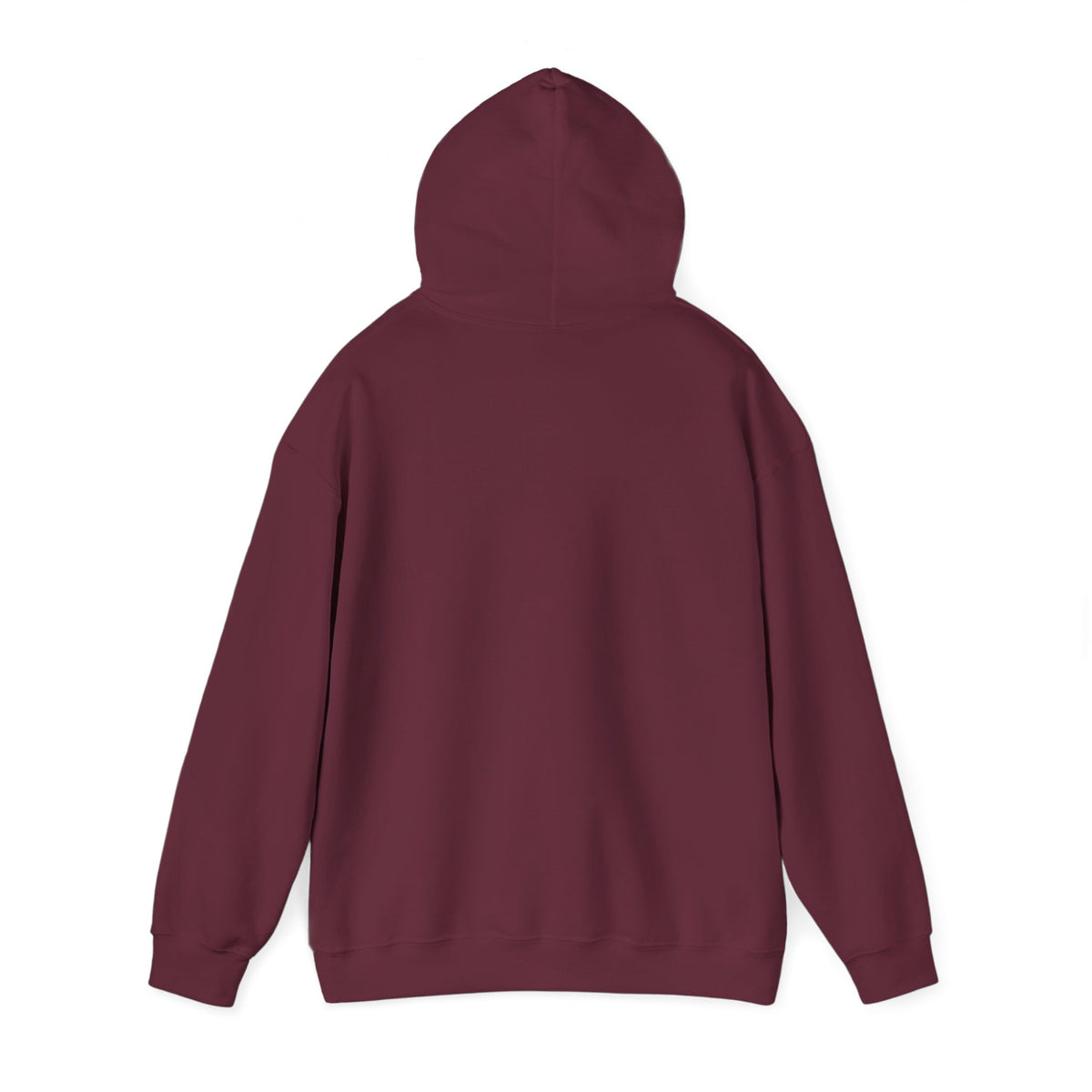 Project PZDN Plain Hoodie