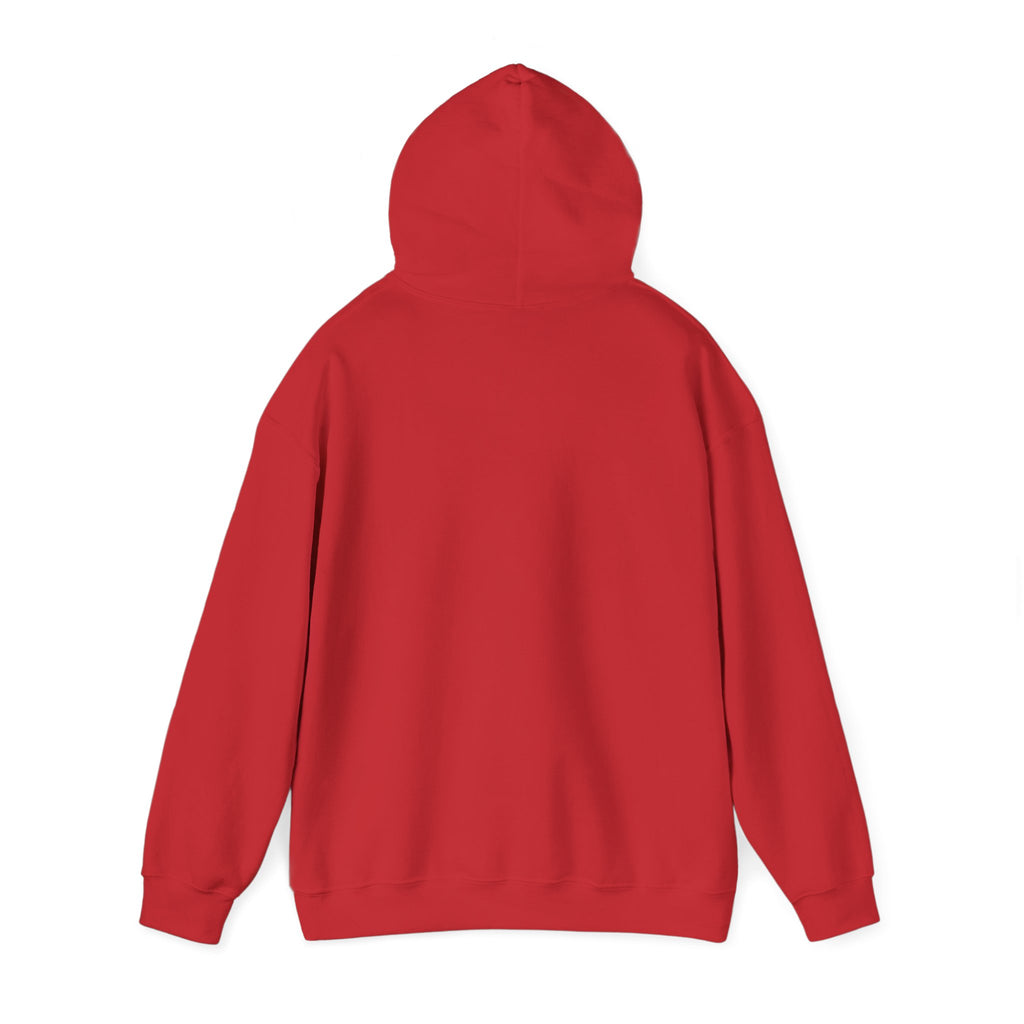 Project PZDN Plain Hoodie