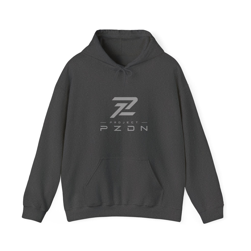 Project PZDN Plain Hoodie