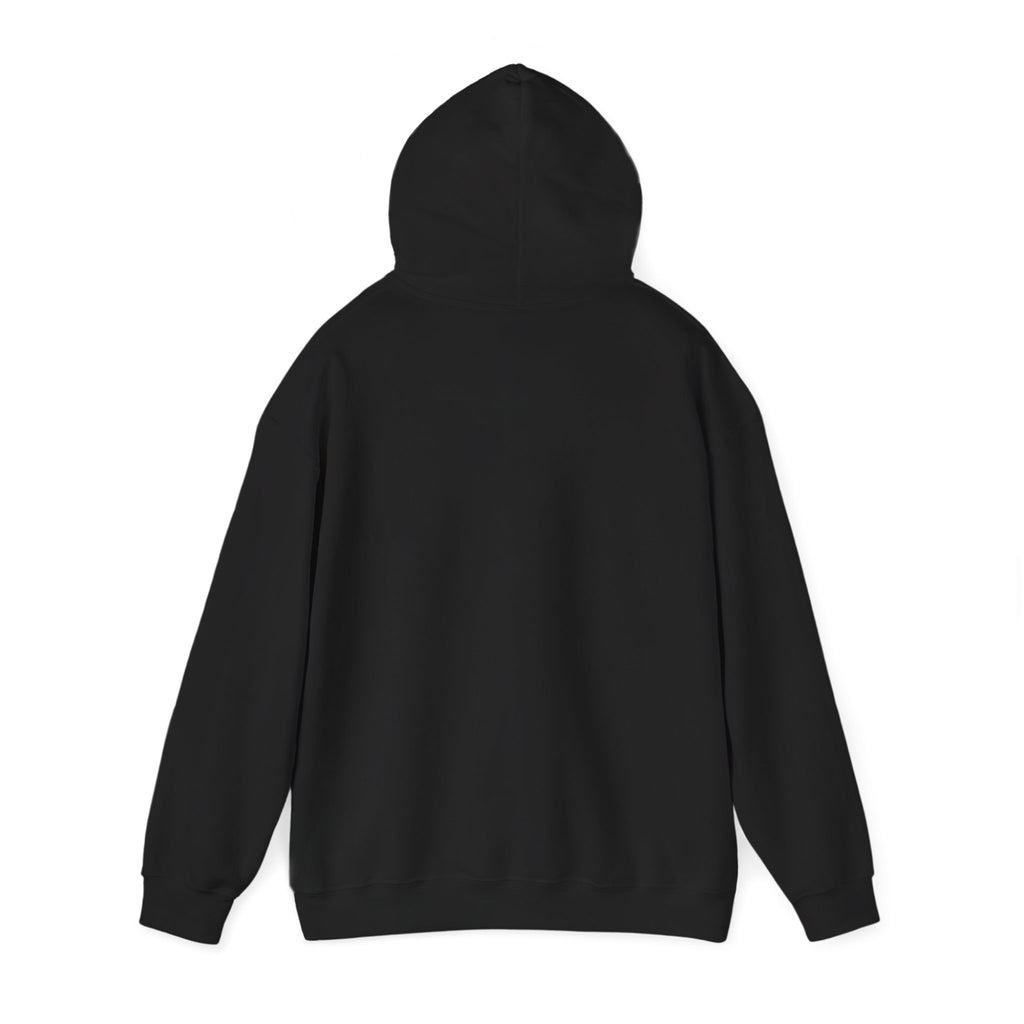 Project PZDN Plain Hoodie