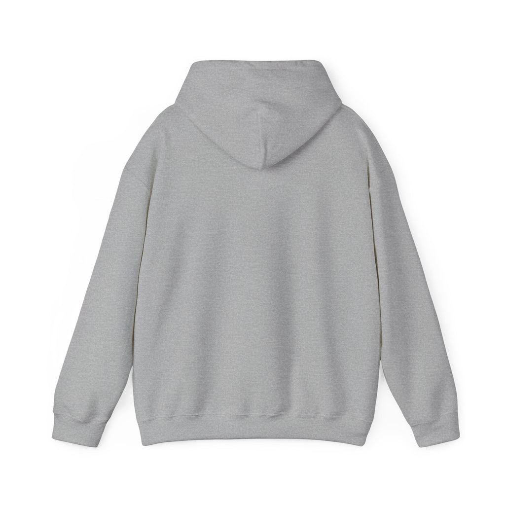 Project PZDN Plain Hoodie