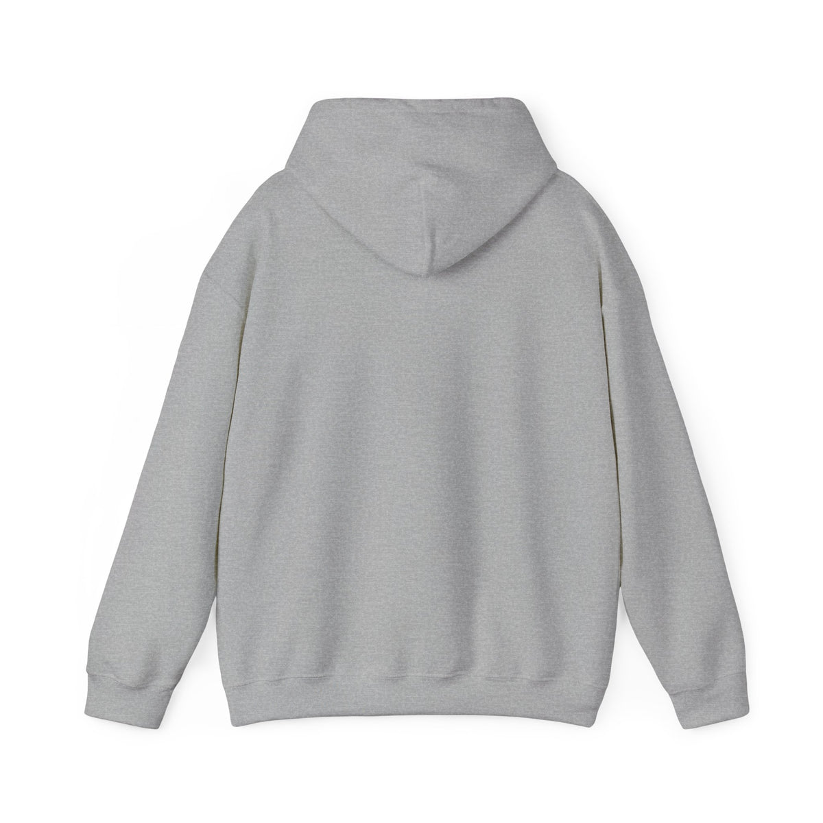 Project PZDN Plain Hoodie