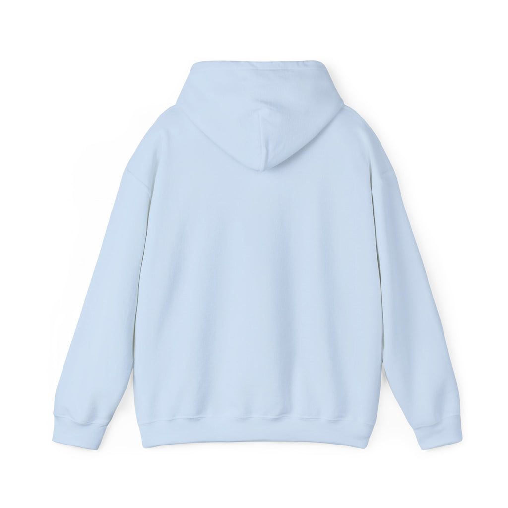 Project PZDN Plain Hoodie