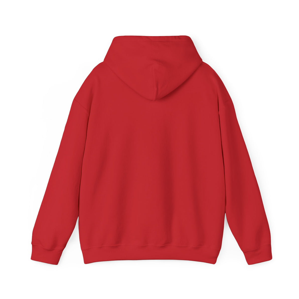 Project PZDN Plain Hoodie